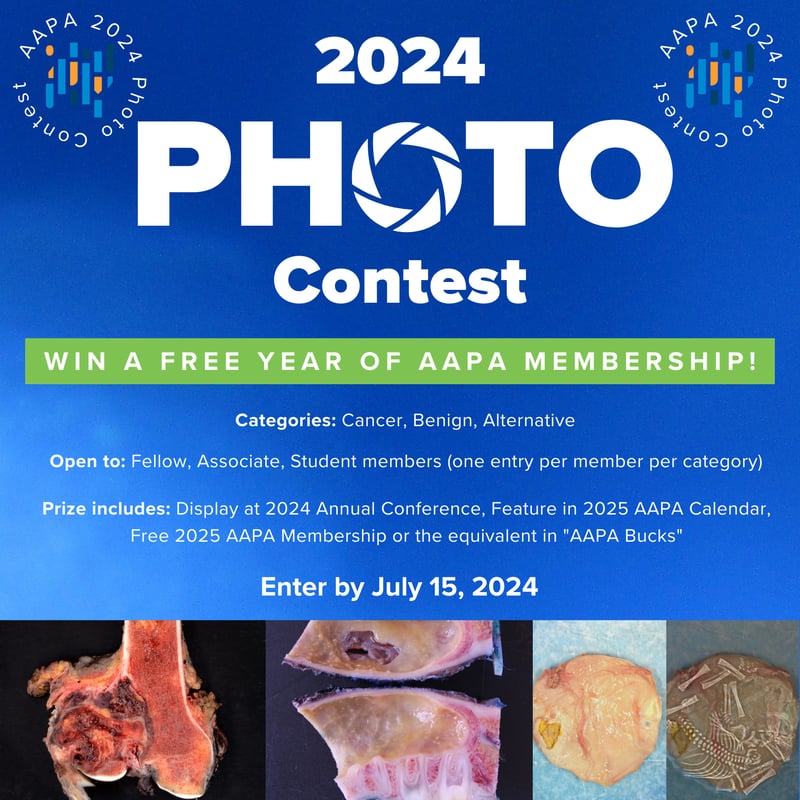 2024\_AAPA\_Photo\_Contest