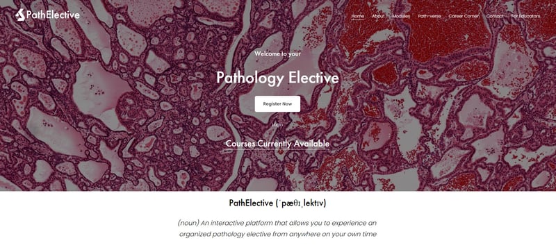 pathelective 4
