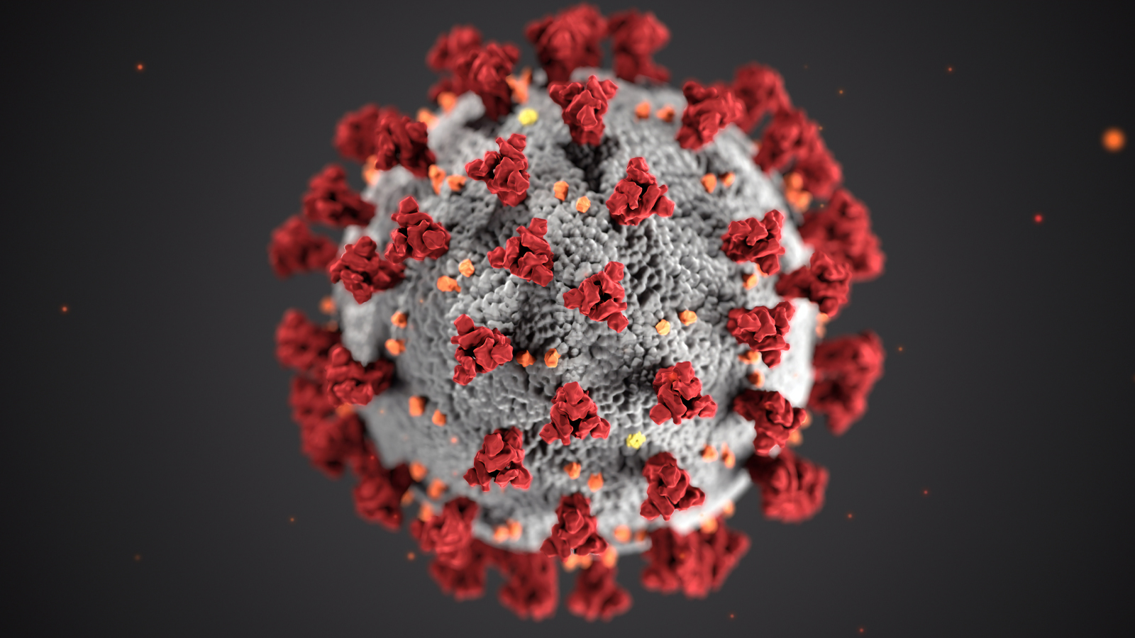 Pathology News Roundup: March 10, 2020